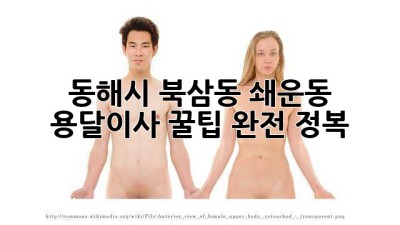 동해시 북삼동 쇄운동 용달이사 꿀팁 완전 정복!
