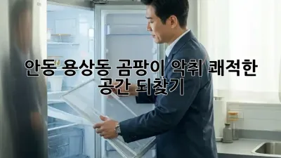 안동 용상동 곰팡이 악취? 쾌적한 공간 되찾기!